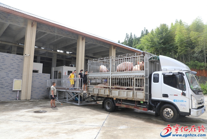 安乐镇：冷链配送 让居民吃上放心肉